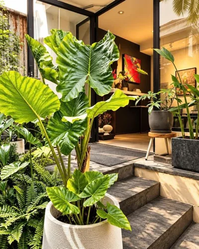 Jazz Living - Tropical Apartment 5 minutes walk from landmark 81 – Fotos 2